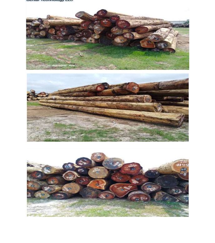 MADERA-EN-ROLLO-DE-AFRICA-19