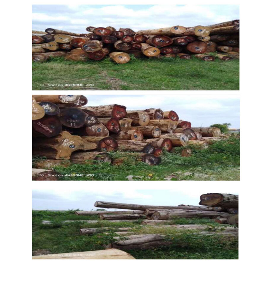 MADERA-EN-ROLLO-DE-AFRICA-20